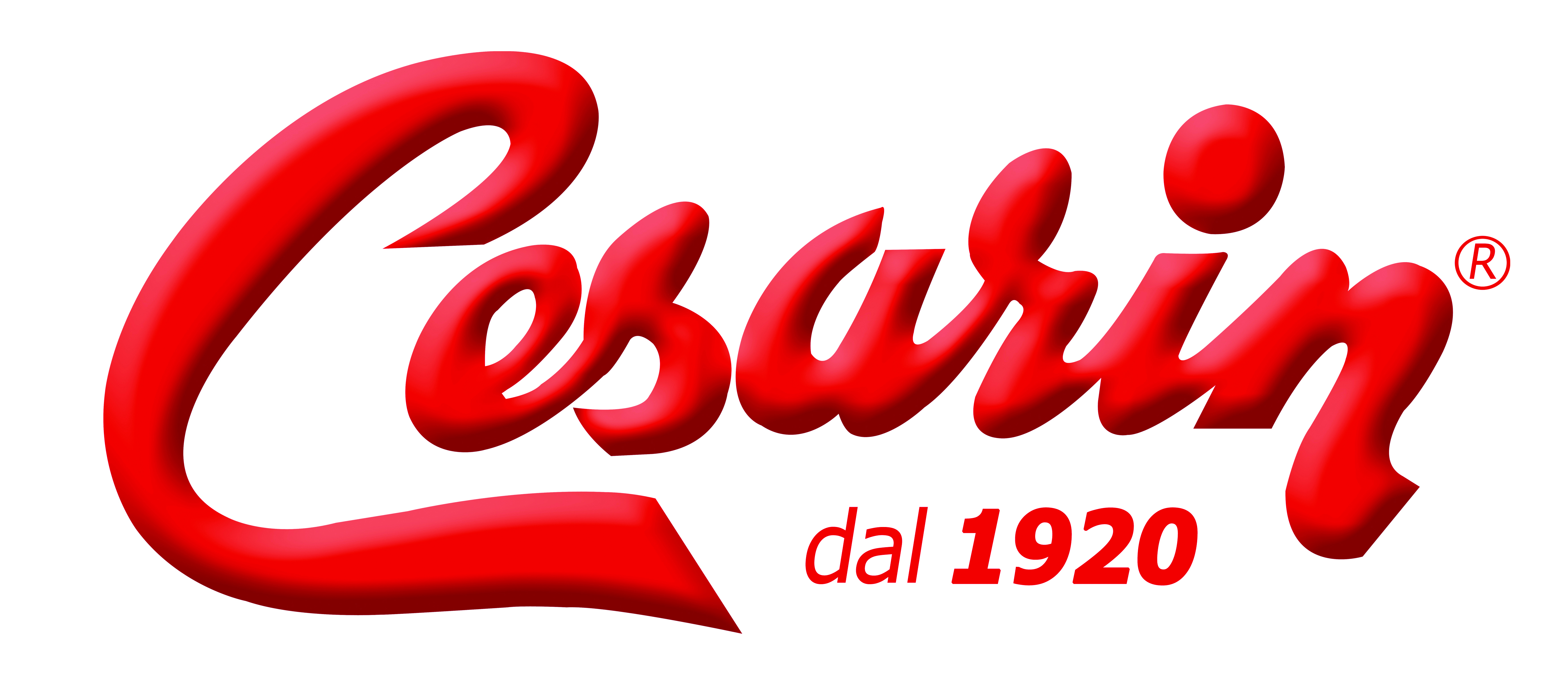 Logo Cesarin Istituzionale