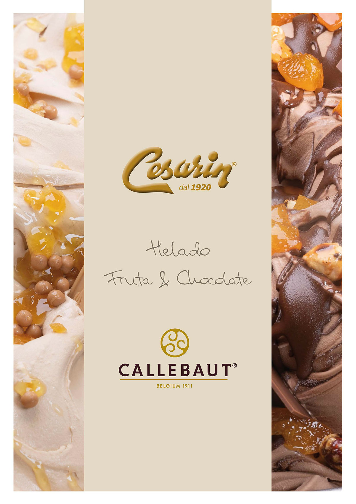 Ricettario Gelato Callebaut